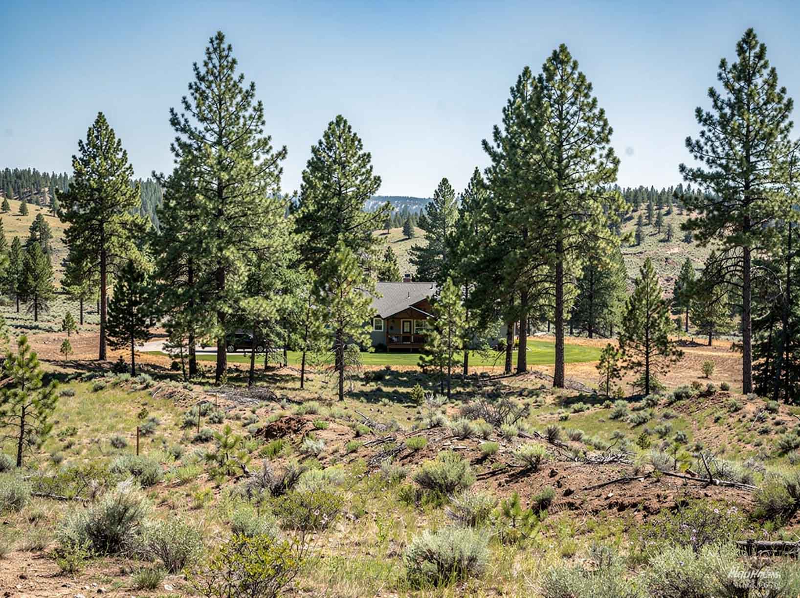 Forest thinning and forestry mulching near Kalispell Montana