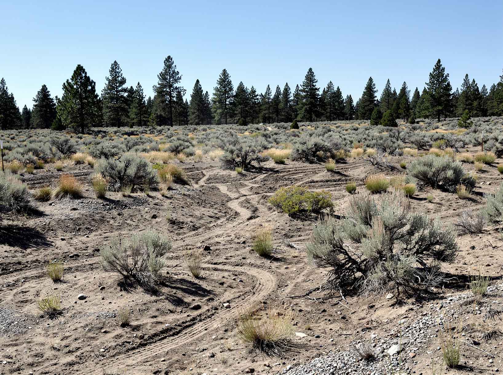 Land clearing service area in Ellensburg WA for rural acreage and site preparation