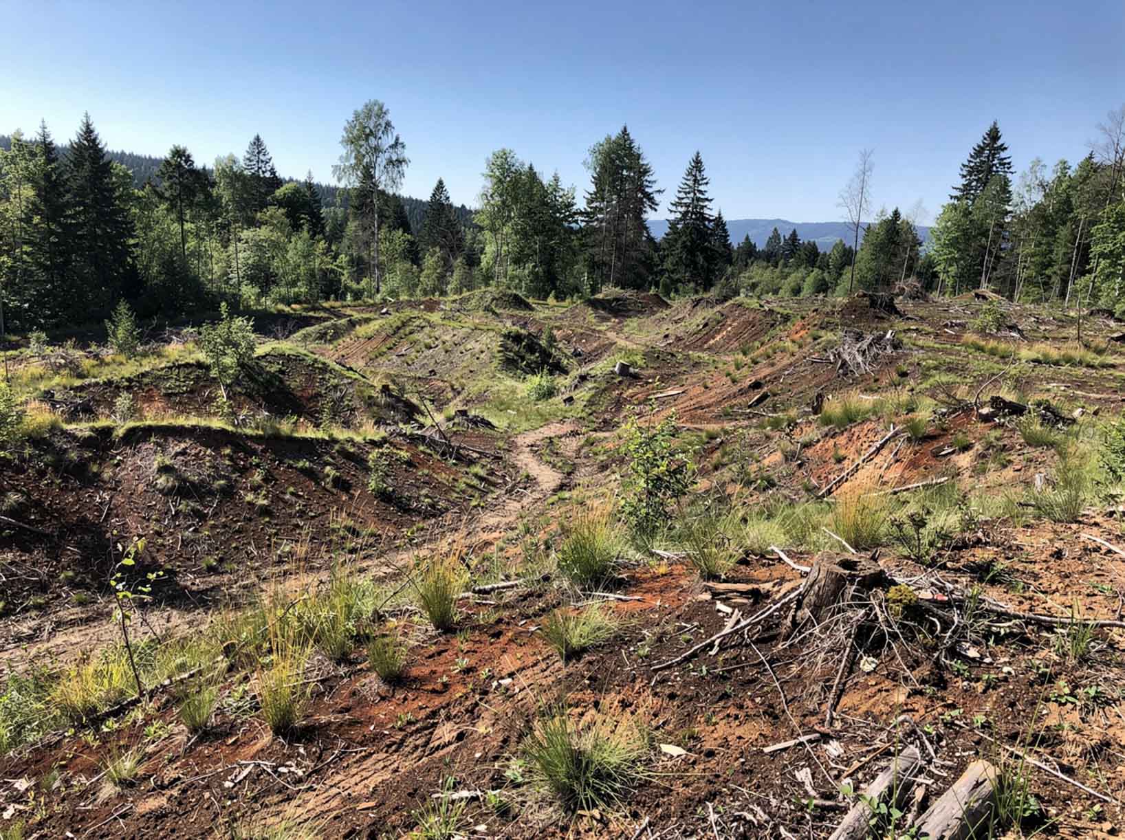 Land clearing service area in Omak WA for rural acreage and site preparation