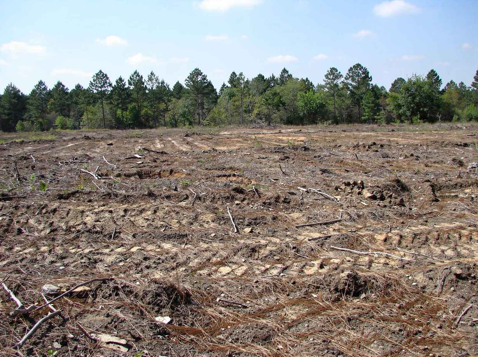 Land clearing service area in Spokane Valley WA for acreage cleanup and site preparation